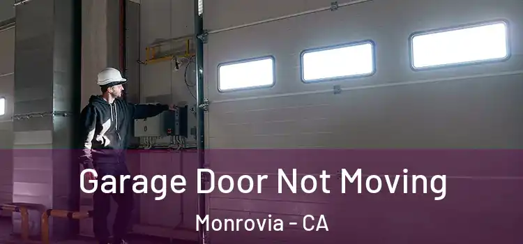  Garage Door Not Moving Monrovia - CA